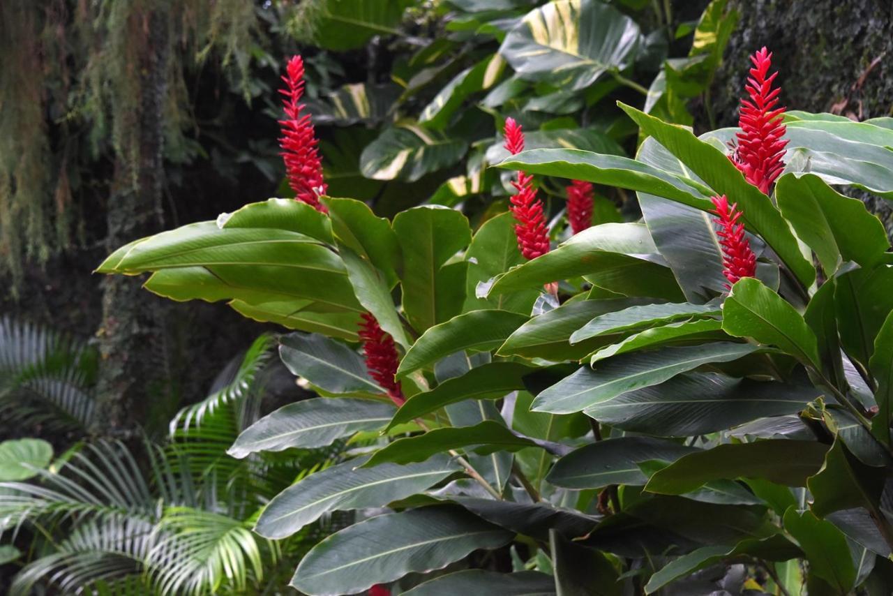Pousada Verano Sao Sebastiao  Ngoại thất bức ảnh