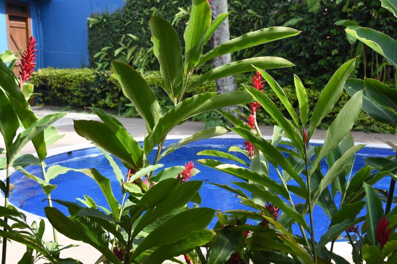 Pousada Verano Sao Sebastiao  Ngoại thất bức ảnh